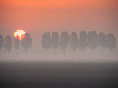 ik ging 'morgens al weg om 7.15 uur ,na een aantal behoorlijk grijze foto's te hebben gemaakt , zag ik dit bij het achterom kijken op weg naar huis , dus ...................maar weer terug voor doe mooie grote oranje bal aan de horizon .