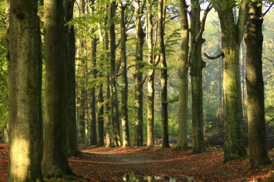 Een mooie herfstdag in oktober, helaas waren de kleuren nog niet super mooi. Hou het goed in de gaten daar.