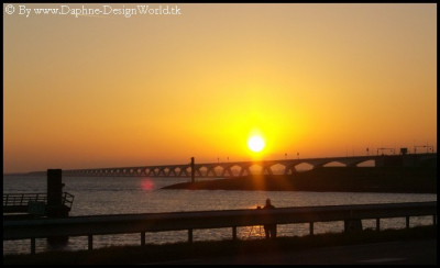 Op terugweg van vakantie waren we bij de zeelandbrug.
Een heel mooi effect door de zon vind ik!