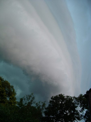 <i class='fa fa-user'></i> Art | 'Rolwolken'  <i class='fa fa-eye'> 263</i>  <i class='fa fa-thumbs-up'> 3</i>   <i class='fa fa-comment-o'> 9</i>