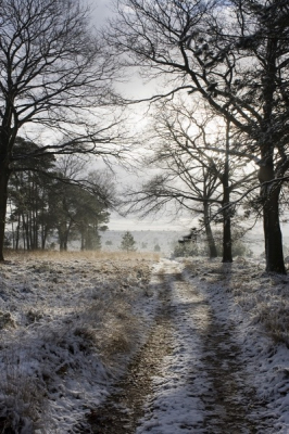 Had het geluk dat ik met de sneeuw van afgelopen week een paar dagen op vakantie was in het oosten van het land, zodat ik de gelegenheid had ervan te genieten. Vanuit de hand genomen.