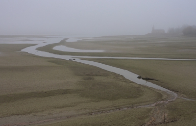 Lac du Der is het grootste, kunstmatige meer van Frankrijk. Het verschil in het zomerpeil en het winterpeil is maar lierfst 12 meter! 's Winters staat het meer grotendeels droog en vormt het een geliefd overwinteringsoord voor Kraanvogels. De mist versterkt het mystieke karakter. Rechts zijn de contouren zichtbaar van het in de mist gehulde kerkje bij Chantecoq.