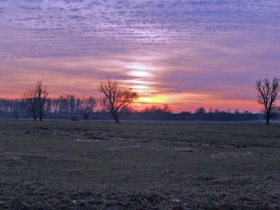 <i class='fa fa-user'></i> Alexander | Zonsondergang in de polder  <i class='fa fa-eye'> 173</i>   <i class='fa fa-comment-o'> 2</i>