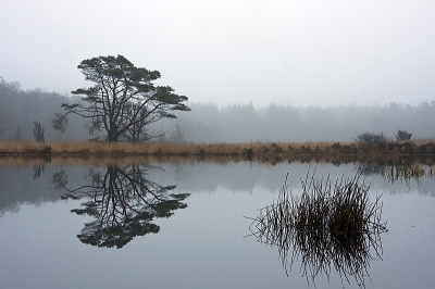 Vroeg in de ochtend gemaakt op een praktijk dag van de cursus natuur- en buiten fotografie van Geurt Besseling.