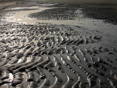 <i class='fa fa-user'></i>&nbsp;andrea&nbsp;| Zand golvjes&nbsp; <i class='fa fa-eye'>&nbsp;161</i> &nbsp;<i class='fa fa-thumbs-up'>&nbsp;2</i> &nbsp; <i class='fa fa-comment-o'>&nbsp;17</i>