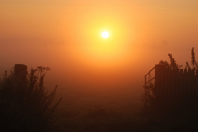 zonsopgang en mist zorgen altijd wel voor mooie sferen...ook in de Arkemheen gaat de zon gratis en voor niets op