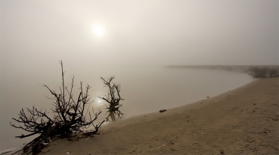 231208 | 1309u  De zon streed even met de mist om het recht het uitzicht te mogen bepalen. De mist won...