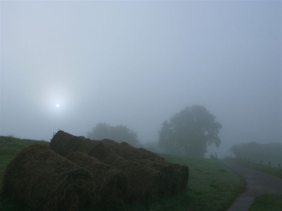 <i class='fa fa-user'></i> erick | IJsseldijk in de mist  <i class='fa fa-eye'> 149</i>   <i class='fa fa-comment-o'> 2</i>