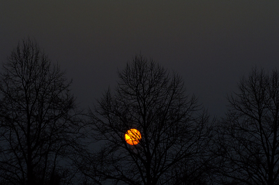 <i class='fa fa-user'></i> Wim de Louwere-Landauer92 | Zonsondergang in Veldhoven  <i class='fa fa-eye'> 205</i>   <i class='fa fa-comment-o'> 8</i>