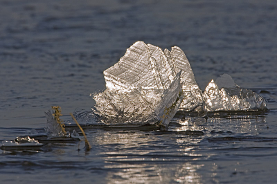 Opstaande schotjes, met daarin reflectie van het zonlicht op de kristallen.