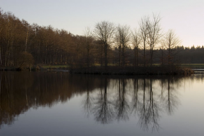 Tijdens een kerstwandeling met de honden en mn ouders bij kasteel Groeneveld in Baarn. Een heldere vriesdag, ijzige lucht en prachtige spiegelingen in het water.