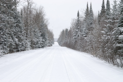 Als je doorrijd tot waar je nu de weg kunt zien en daar linksaf gaat rij je mijn oprijlaan in.
Het heeft in de nacht van 31 december op 1 januarie gesneeuwd.
Ook de hele dag zo.n beetje gesneewd.
De sneeuwschuiver is hier nog niet geweest.