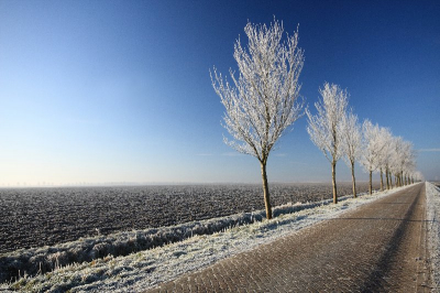 Ik heb een Sigma 10-20 mm aangeschaft en die vanmorgen uitgeprobeerd.