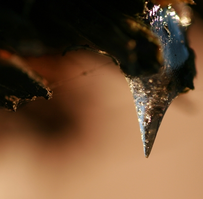 uit school ben ik me maar gelijk gaan uitleven op de ijspegels die aan het dak hingen:P 
dit was een kleintje op de hoek waar de zon op scheen