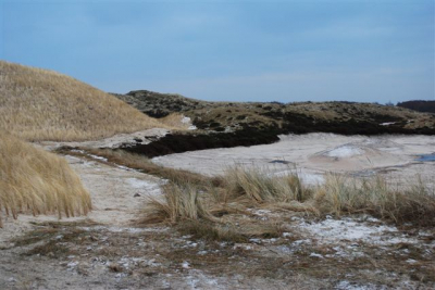 Het was een koude winderige vriesochtend en op deze plek in de duinen in de buurt van De Koog wordt gewerkt aan de herwinning van de natuur. Ik vond dit een prachtig kleurenpalet.