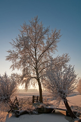 Vandaag ook wat platen gemaakt en wat was het weer prachtig......