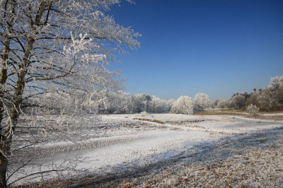 Vanmiddag naar De Heide geweest om deze witte pracht vast te leggen.