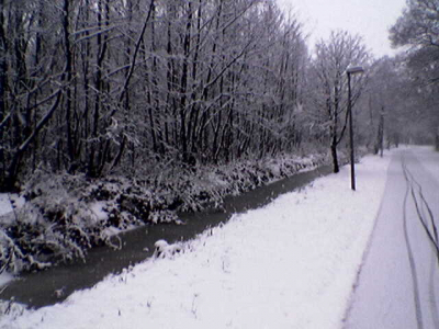een bos pad wat er wel leuk uit zag, dus ik dacht laat ik een foto maken.