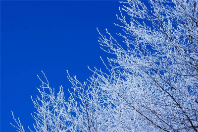 Door de sneeuw krijg je prachtplaatjes. Deze foto is omstreke venray gemaakt bij mijn school.