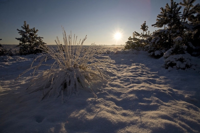 Gewone landschappen zijn mooi, maar ik zoek liever de grenzen van de fotografie op. Hier pal tegen de zon in gefotografeerd.