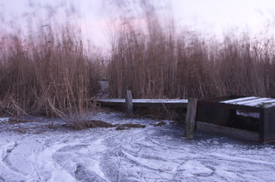 rond 8.30 afgelopen zondag in natuurgebied Harderbroek. Opkomende zon en erg koud.