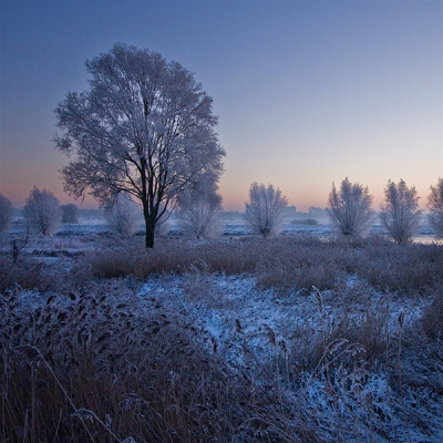 De Bossche Broek ongeveer een half uur voor zonsopkomst gefotografeerd op die ijskoude 9e januari