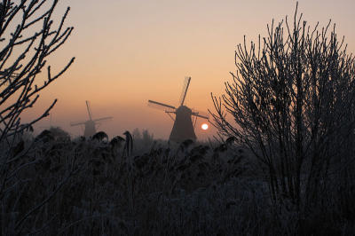 In het donker naar Kinderdijk toe op een zeer koude morgen en dan de zon door de mist op zien komen: een prachtig decor was het bij -10C.