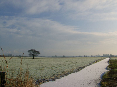 <i class='fa fa-user'></i> erick | Winterlandschap IJssel binnendijks  <i class='fa fa-eye'> 169</i>   <i class='fa fa-comment-o'> 3</i>