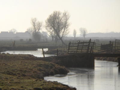 tijdens onze zondagse wandeling geprobeerd het licht te vangen in een typisch Alblasserwaards plaatje.
Gemaakt met Hp R707 in combi met verrekijker Kite 8*40.
Iso 100, F3.2, 1/1024 sec, +2/3, ... mm