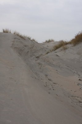 In de duinen kom je soms mooie uitzichten tegen, vooral als het de dagen daarvoor flink gewaaid heeft
