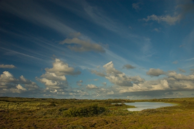 Aan het begin van de avond werd de kleurrijke vegetatie warm verlicht. De blauwe lucht met de windveren maakte dat ik toch even van de fiets moest.
Jammer dat ik de iso-waarde was vergeten opnieuw in te stellen.