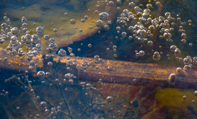 Onder het ijs van een plasje lagen een aantal bladeren en takjes die vanwege het ondiepe water verlicht werden door de zon. Met maximale scherptediepte geprobeerd daar samen met de belletjes een geheel van te maken. Is me niet gelukt de blauwe waas te neutraliseren maar vond het resultaat toch iets schilderachtigs hebben.