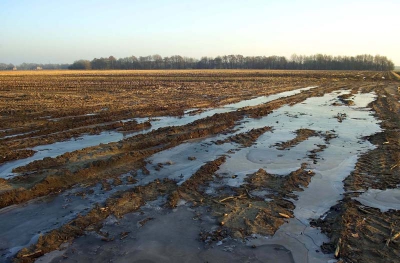 Op een koude namiddag in de binnenlanden van Drenthe!