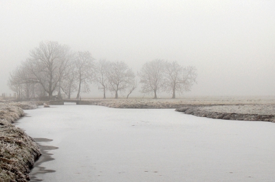 Heb even een minipauze genomen tussen het studeren door. Vond het wel mooi dat het iritante compensatiebos en de electriciteitsmasten door de mist werden weggenomen, had dit groepje bomen al een tijdje op mijn lijstje staan en ik vond dit wel een aardige compo en setting. Wat zitten schiuven in de Levels om waas te verminderen en unsharp mask toegepast (een paar keer 100/0,2/0,0) ook een 2/3 uitsnede gemaakt (onderkant wat afgesneden)
