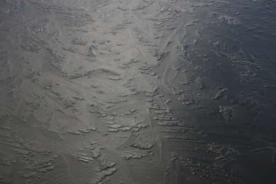 Nu eens geen strakke ijspatronen zoals al veel te zien is op Nederpix, dit keer prachtig zwart ijs met bladmotief