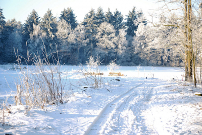 Nieuwe fotocamara uitgeprobeerd en dus vele foto.s gemaakt in de natuur. Waaronder deze.