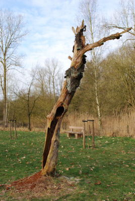 Als beginnende fotograaf moet ik nog veel leren over de instellingen van de camara. Ben benieuwd naar de reacties.