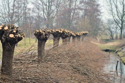 bewolkt weer, maar ze staan weer klaar voor de zomer