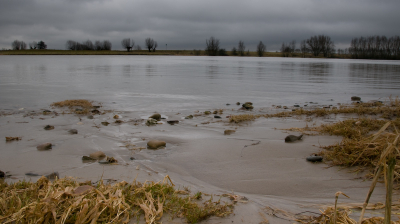 Dagje vrij en door de uiterwaarden van de Rijn bij Wageningen gebanjerd. Heerlijk, die klei onder de laarzen! Wel erg somber en nat weer wat ik overigens ook wel sfeervol vind. Hoop dat het een beetje over komt op de foto.
Vanaf statief, laag standpunt.