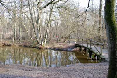 Wilde wachten totdat de personen gepasseerd waren, maar ik vond het rood goed passen bij de kille kleuren.
