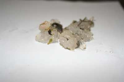 In het bargerveen verscheidene malen deze substantie aangetroffen op wandelpaden en in de berm ervan. Staatsbosbeheer kon geen uitsluitsel geven. Ik hoop dat jullie mij van dienst kunnen zijn. De micoscoop gaf ook geen bijzonderheden. 
Indien nodig kan ik ook een foto in de natuurlijke omgeving maken