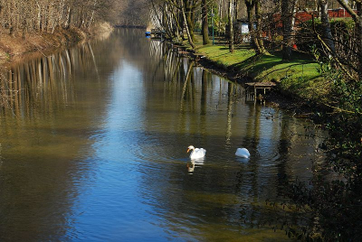 Vanaf een bruggetje deze foto genomen. Links op de foto nog winterkleuren, maar rechts de lentekleuren.