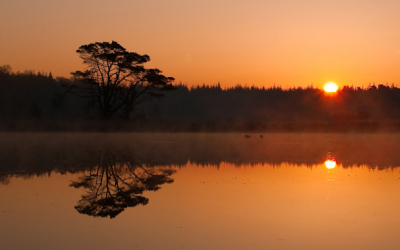 Afgelopen zaterdagochtend waren de omstandigheden perfect voor het maken van een mooie zonsopgang! Onbewolkt, windstil, koud genoeg om het ven te laten dampen en natturlijk de prachtige lokatie!