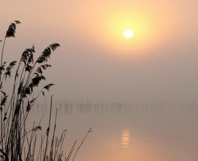 Vroeg in de morgen, het was eigenlijk te mistig om mooi foto's te maken. Ben toch lekker bezig geweest