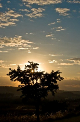 Gemaakt op de eerste dag van de vakantie. Heerlijk genietend van een zonsondergang.