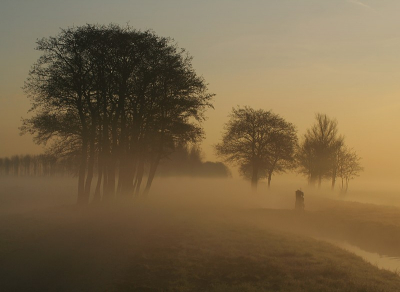 hier nog een foto van een maandag  , nu een  landschap  in de mist