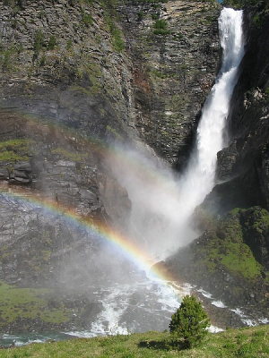 Foto genomen met mijn oude Camera: canon A60
F3,5 - 1/1000 sec.