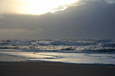 <i class='fa fa-user'></i> Tijn | Zandvoort aan Zee  <i class='fa fa-eye'> 162</i>   <i class='fa fa-comment-o'> 3</i>