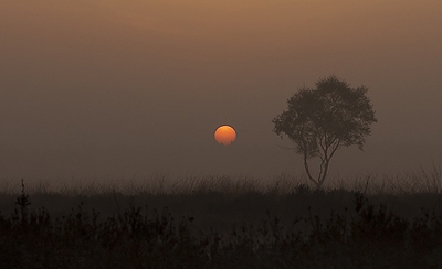 Ik had mazzel dat ik vanochtend niet hoefde te werken en ben heerlijk van de zonsopgang gaan genieten.
En genieten was het!