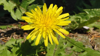 -------- . . . . . . . . . . . . . . . . . . . . . . . . . . . . . . . . . . .  . . .  .